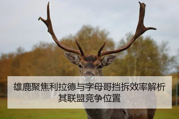 雄鹿聚焦利拉德与字母哥挡拆效率解析其联盟竞争位置