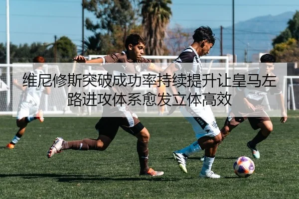 img_1783355454331_155_1_382.jpg