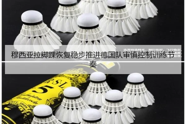 穆西亚拉脚踝恢复稳步推进德国队审慎控制训练节奏